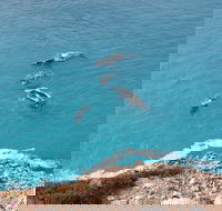 Nullarbor National Park - Redcliffe Tourism