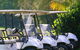 The Vale Golf Course - thumb 0