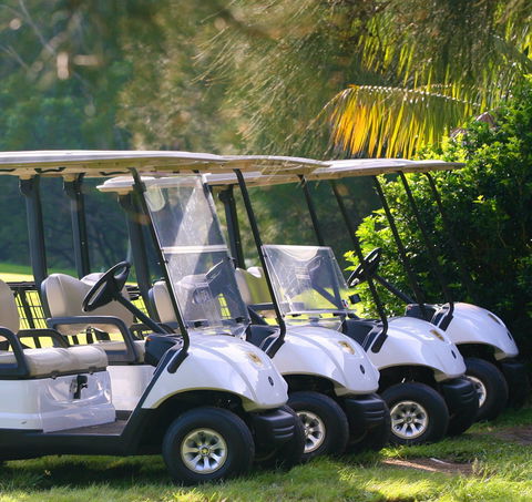 The Vale Golf Course - Redcliffe Tourism 0