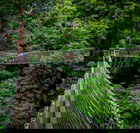 Thunderbird Park  - Tamborine Mountain Gold Coast Region - Redcliffe Tourism