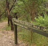 Waterfall Gully - Kings Falls Circuit Walk - Redcliffe Tourism