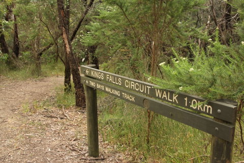 Waterfall Gully - Kings Falls Circuit Walk - Redcliffe Tourism 0