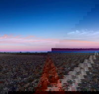 Yanga National Park - Redcliffe Tourism