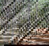 Yana-y Warruwi Walking Track - Redcliffe Tourism