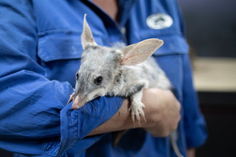 9 Day Outback Adventure - Redcliffe Tourism 0