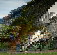 Aboriginal Heritage Walk - Redcliffe Tourism