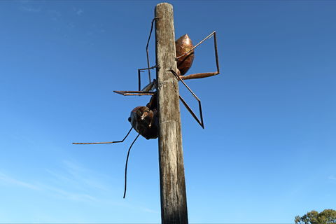 Augathella - Redcliffe Tourism 1