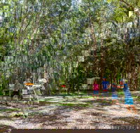 Ballina Disc Golf - Redcliffe Tourism