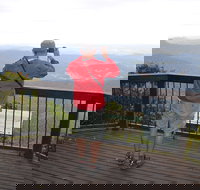 Best of All lookout track Springbrook National Park - Redcliffe Tourism