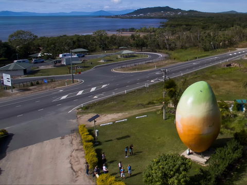 Big Mango - Redcliffe Tourism 1