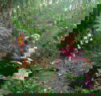 Binna Burra Lamington National Park - Redcliffe Tourism