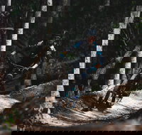 Boomerang Farm Bike Park - Redcliffe Tourism