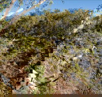 Boonoo Boonoo Falls picnic area - Redcliffe Tourism