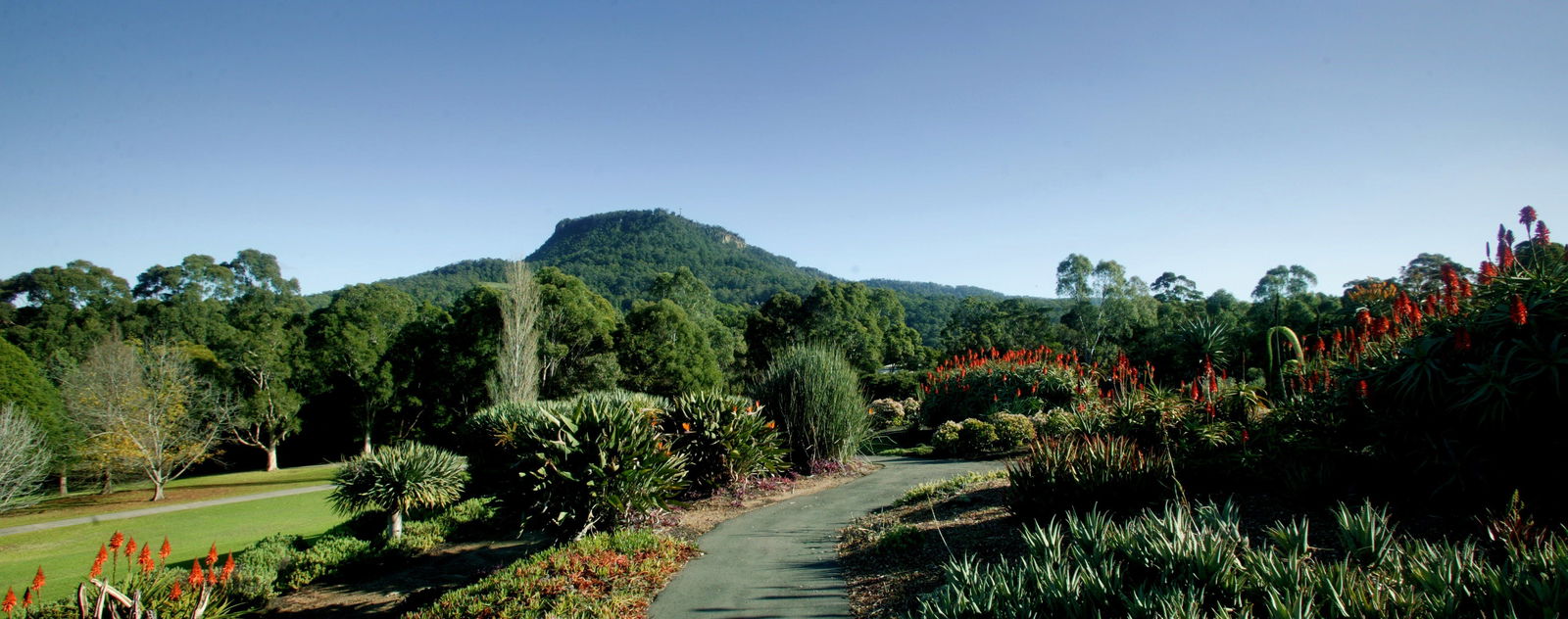 Keiraville NSW Redcliffe Tourism