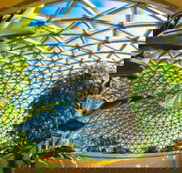 Brisbane Botanic Gardens Mount Coot-tha - Redcliffe Tourism