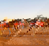 Broken Hill Camels - Redcliffe Tourism