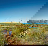 Bushwalking on Keswick Island - Redcliffe Tourism