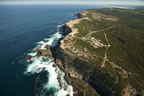 Cape Nelson State Park - Redcliffe Tourism 1