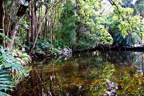 Cascade Gardens - Redcliffe Tourism 2