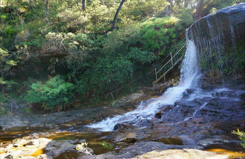 Charles Darwin Walk - Redcliffe Tourism 0