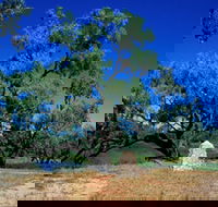 Comet - Redcliffe Tourism