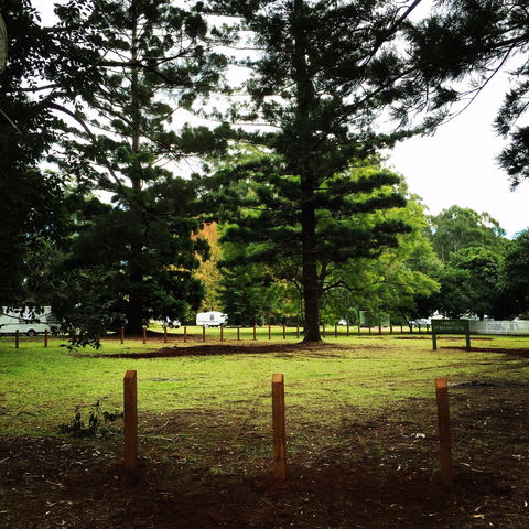 Coopernook Forest HQ - Redcliffe Tourism 2