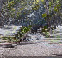 Coolah Tops National Park - Redcliffe Tourism
