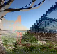 Evans Head Surf Shack - Redcliffe Tourism