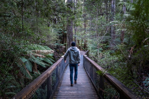 Hastings Caves And Thermal Springs - Redcliffe Tourism 1