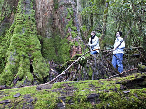 Hastings Caves And Thermal Springs - Redcliffe Tourism 2