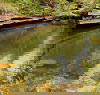 Hominy Creek Walking Track - Redcliffe Tourism