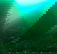 Investigator Strait Shipwreck Trail - Redcliffe Tourism