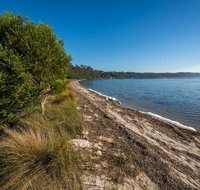 Jewfish Walk - Redcliffe Tourism