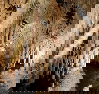 Jillabenan Cave - Redcliffe Tourism