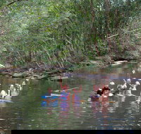 Kerewong State Forest - Redcliffe Tourism