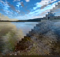 Lake Innes Nature Reserve - Redcliffe Tourism