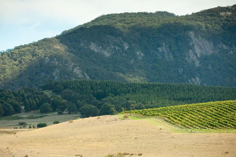 Langi Ghiran State Park - Redcliffe Tourism 0