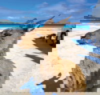 Lucky Bay - Redcliffe Tourism
