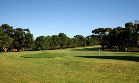 Mannum Golf Club - Redcliffe Tourism 0