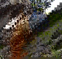 Mystery Face Walking Track - Redcliffe Tourism