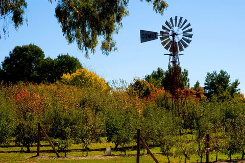 Orange Botanic Gardens - Redcliffe Tourism 2