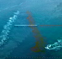 Port Noarlunga Reef Sanctuary Zone - Encounter Marine Park - Redcliffe Tourism