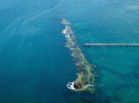 Port Noarlunga Reef Sanctuary Zone - Encounter Marine Park - Redcliffe Tourism 0