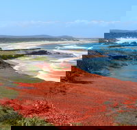Red Cliff - Redcliffe Tourism