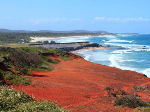 Red Cliff - Redcliffe Tourism 0