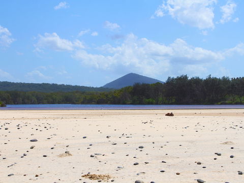 Red Cliff - Redcliffe Tourism 1