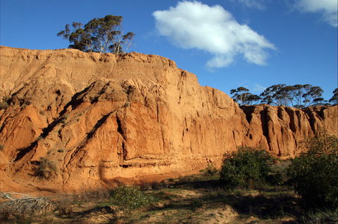 Red Banks Conservation Park - Redcliffe Tourism 0