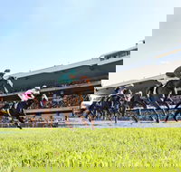 Rosehill Gardens Racecourse - Redcliffe Tourism