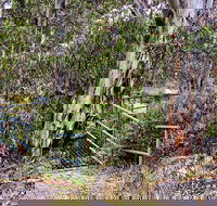 Sawpit Walking Track - Redcliffe Tourism