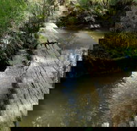 Second Ponds Creek Walk - Redcliffe Tourism